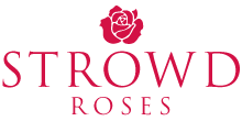Trow Roses