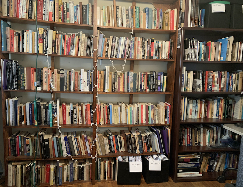Several bookshelves filled with books in the Yonni Chapman Library at the Marian Cheek Jackson Center